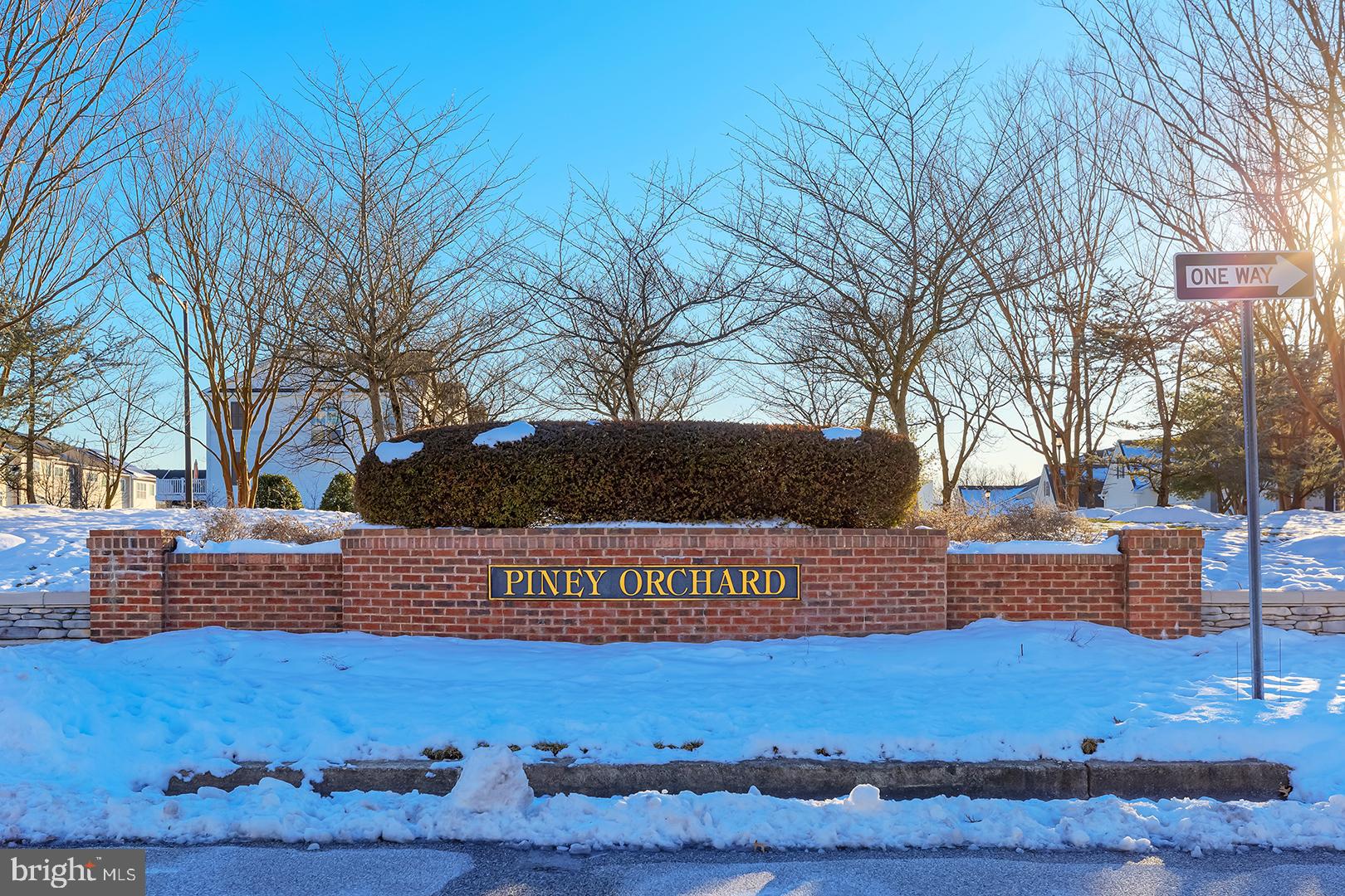 1010 Verdigris Way Odenton, MD 21113 - Photo 36 of 38 a view of outdoor space with yard