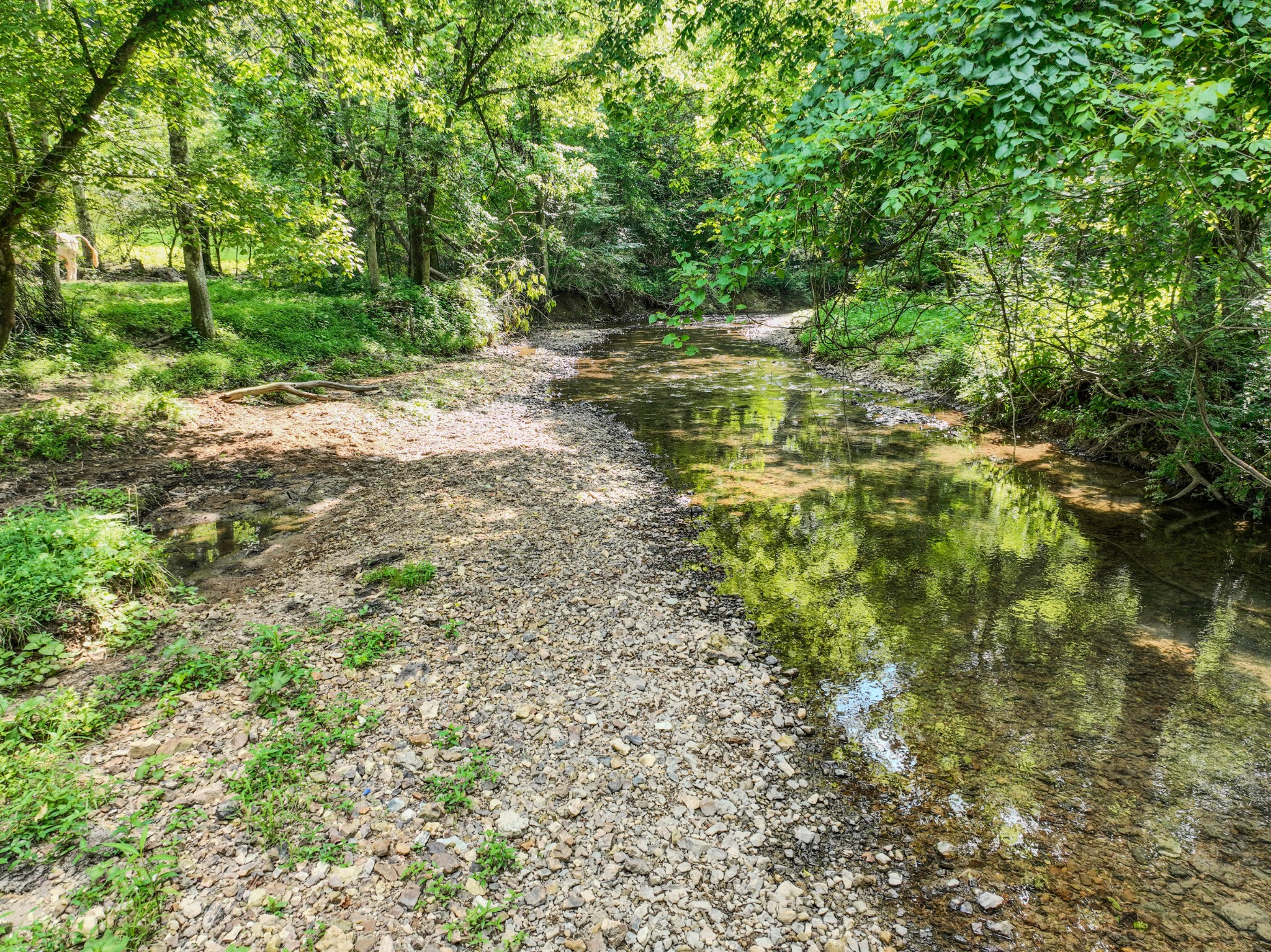 357 Providence Road Pulaski, TN 38478 - Photo 31 of 40