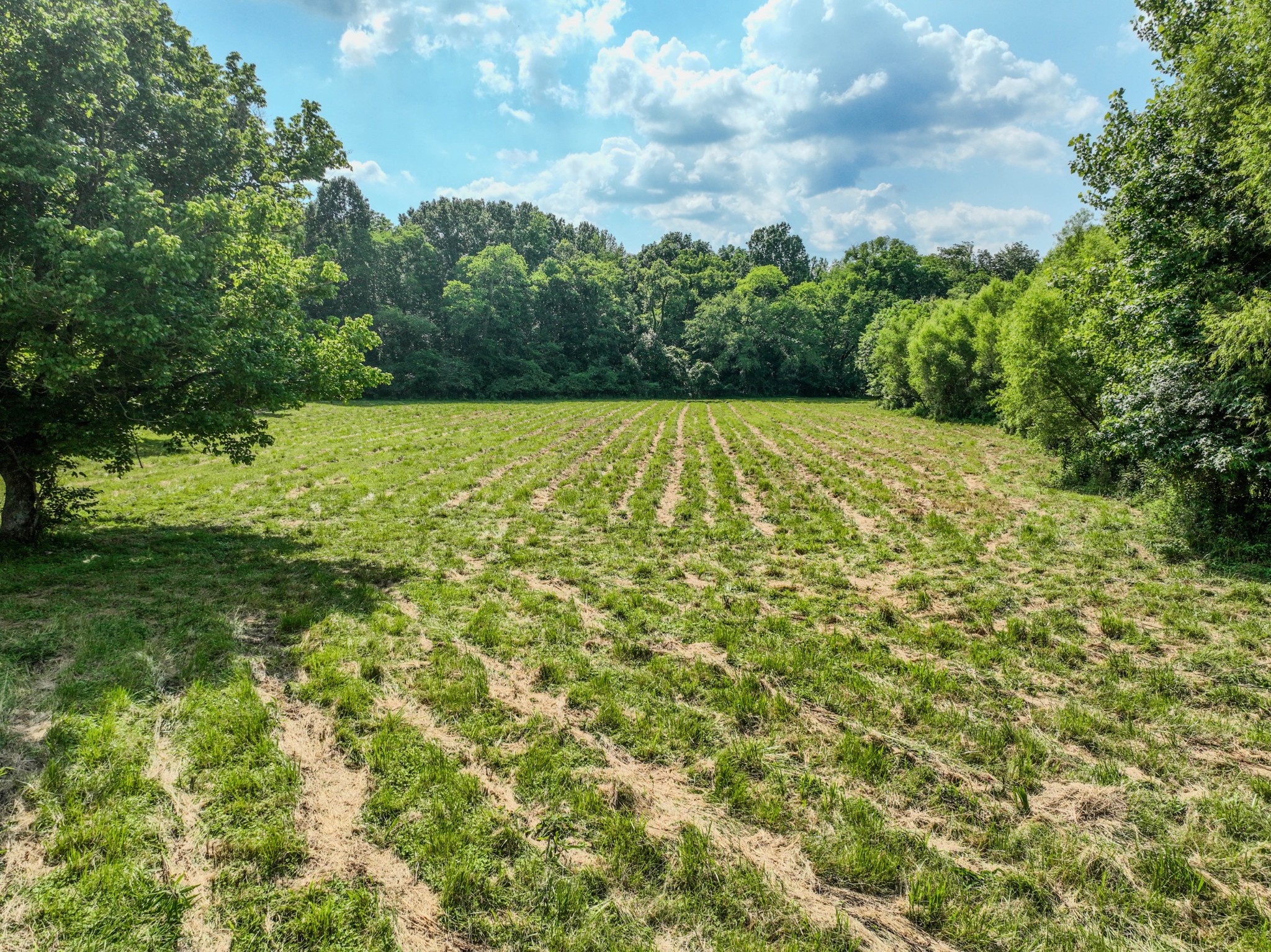 357 Providence Road Pulaski, TN 38478 - Photo 34 of 40
