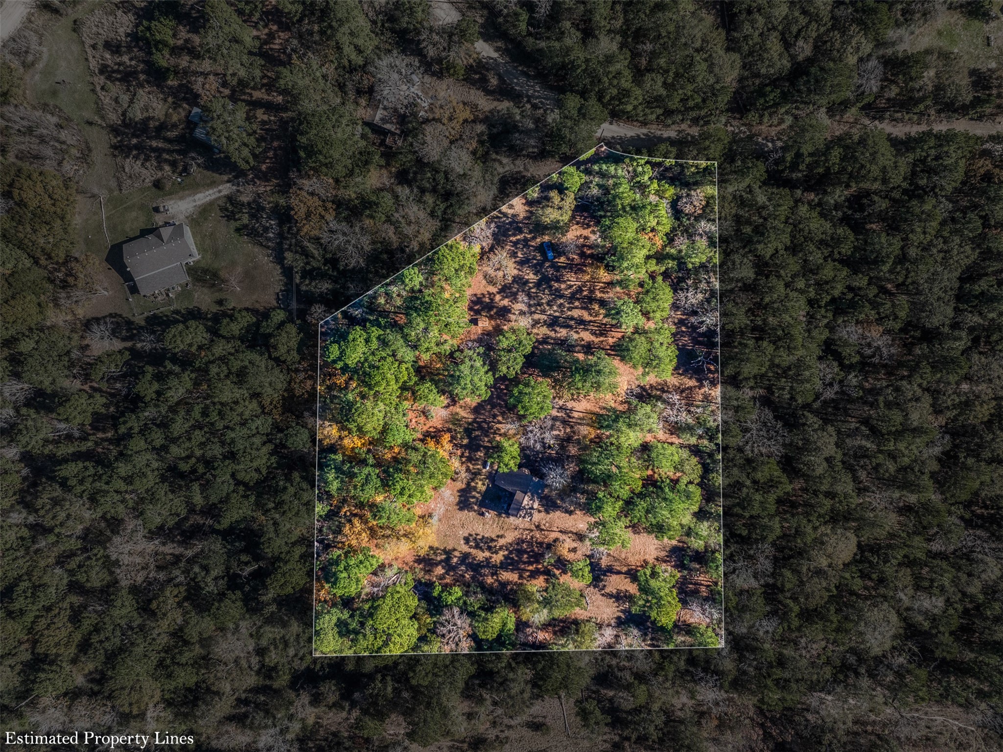 10845 Deer Ridge Road Bedias, TX 77831 - Photo 24 of 40