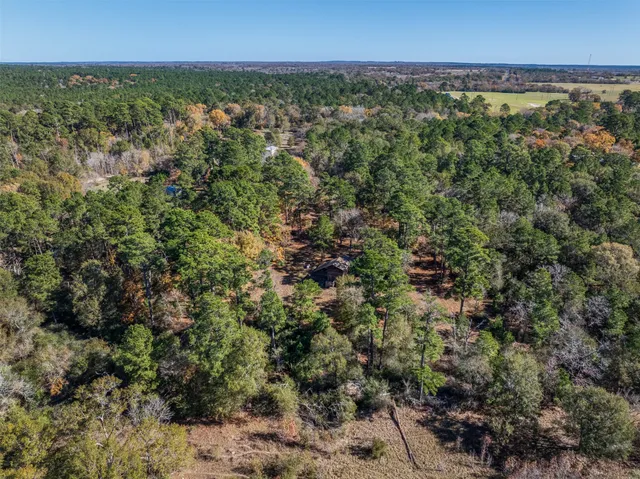 $249,000 | 10845 Deer Ridge Road, Bedias, TX 77831