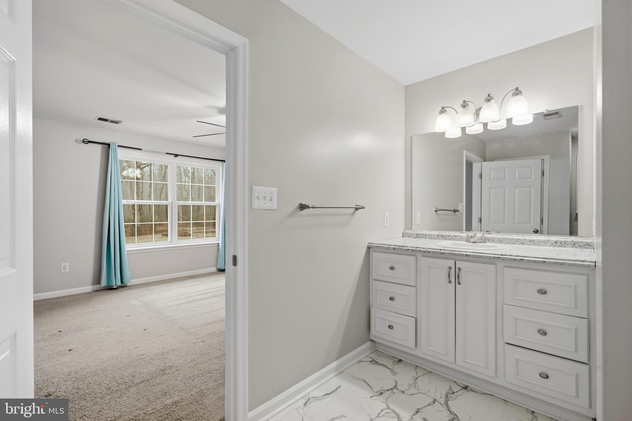 22343 Newtowne Neck Road Leonardtown, MD 20650 - Photo 26 of 40 a spacious bathroom with a granite countertop sink a mirror and a shower