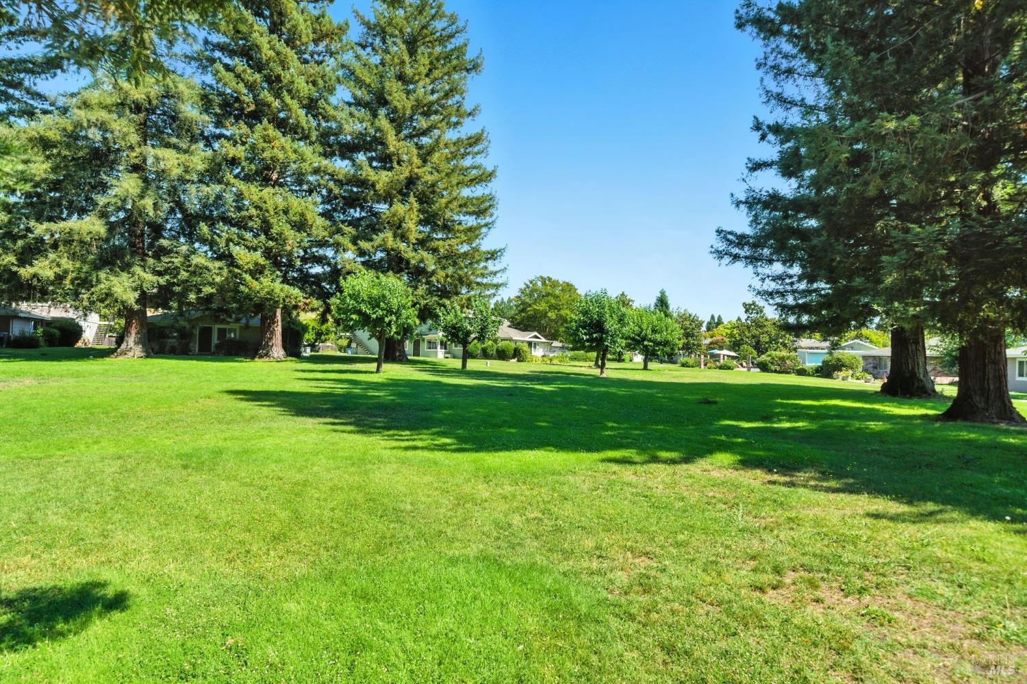 1890 Dorado Court Santa Rosa, CA 95403 - Photo 23 of 25 a view of a park with trees and flowers