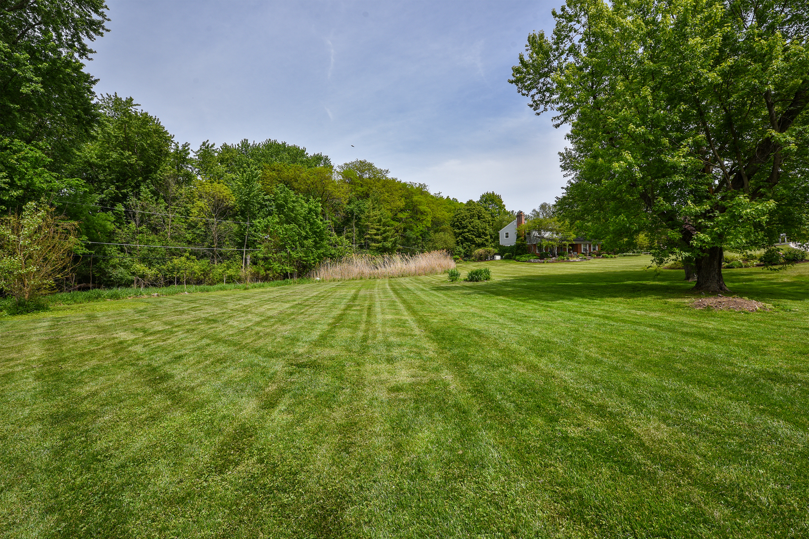 1550 Banbury Road Inverness, IL 60067 - Photo 31 of 32 a view of a big yard with a large trees