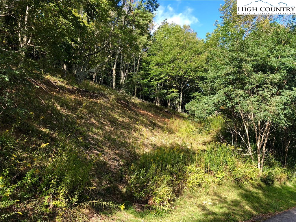 Wakeman Way Banner Elk, NC 28604 - Photo 5 of 10 a view of outdoor space and a yard