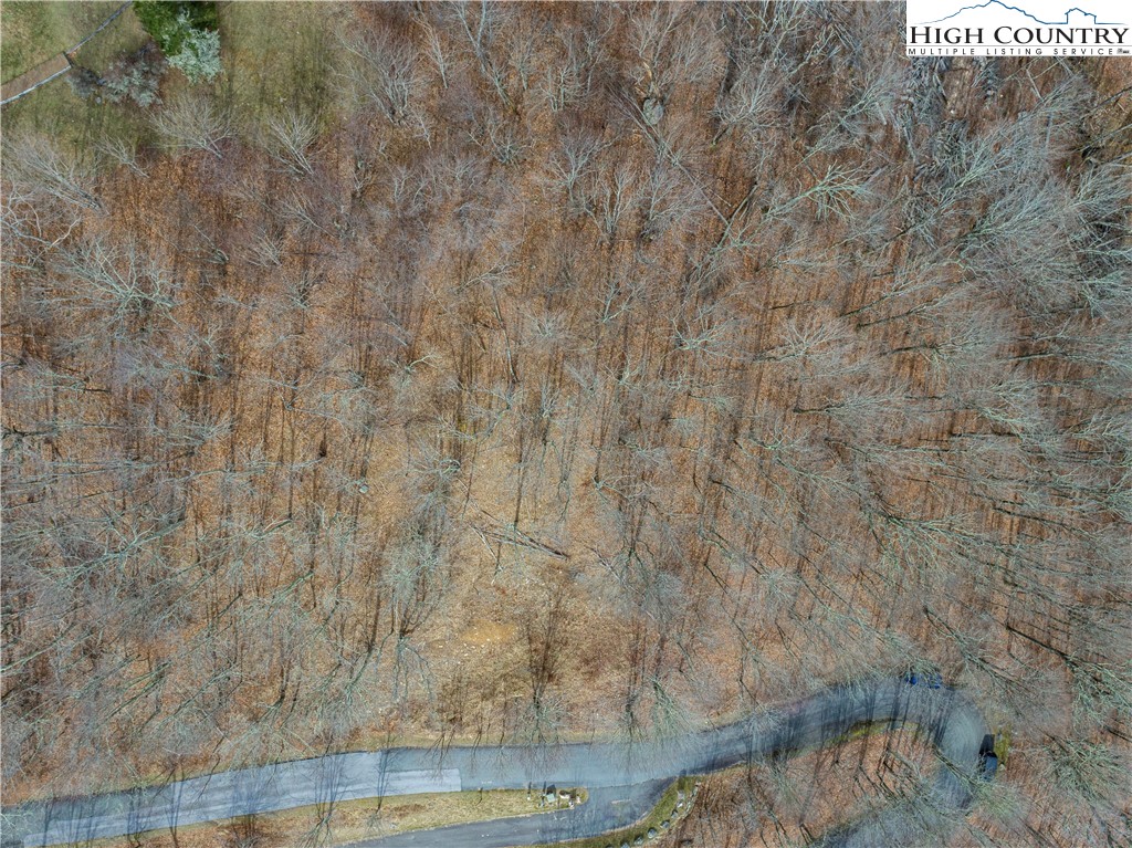 Wakeman Way Banner Elk, NC 28604 - Photo 9 of 10 a bathroom with a shower