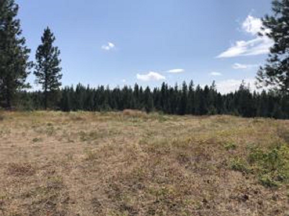 3742 West Jump Off Road Valley, WA 99181 - Photo 3 of 10