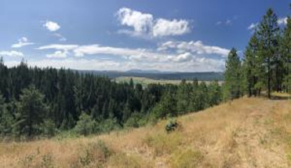 3742 West Jump Off Road Valley, WA 99181 - Photo 5 of 10