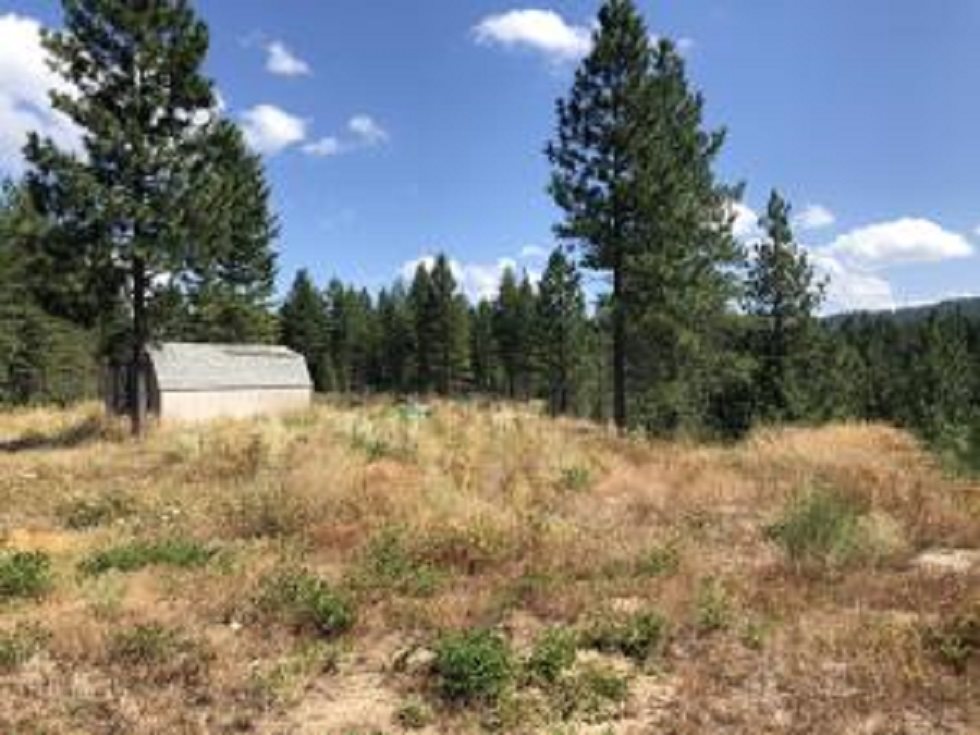 3742 West Jump Off Road Valley, WA 99181 - Photo 8 of 10