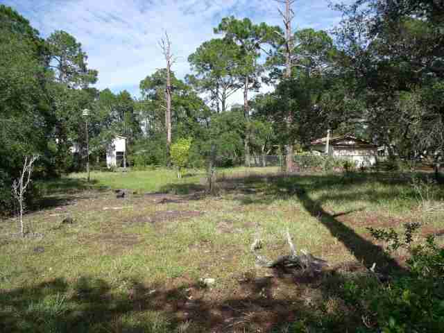 Lot 4 River Bend Road Ochlockonee Bay, FL 32346 - Photo 11 of 15 Gallery Image 11