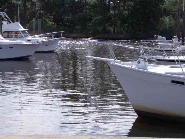 Lot 4 River Bend Road Ochlockonee Bay, FL 32346 - Photo 6 of 15 Gallery Image 6