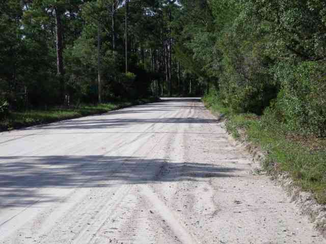 Lot 4 River Bend Road Ochlockonee Bay, FL 32346 - Photo 7 of 15 Gallery Image 7