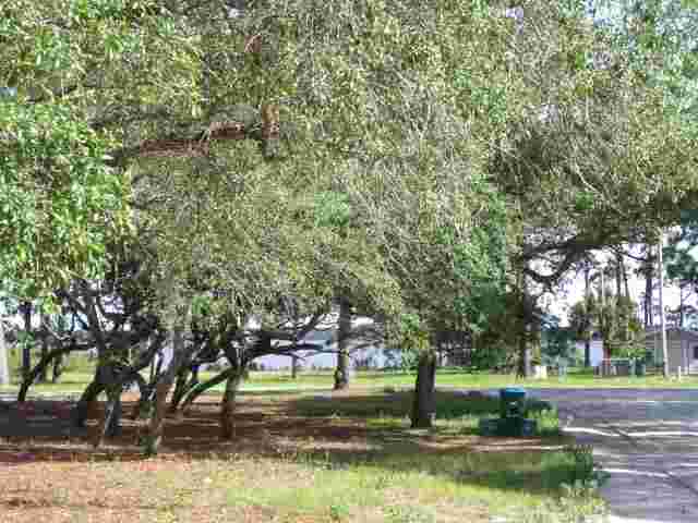 Lot 4 River Bend Road Ochlockonee Bay, FL 32346 - Photo 9 of 15 Gallery Image 9