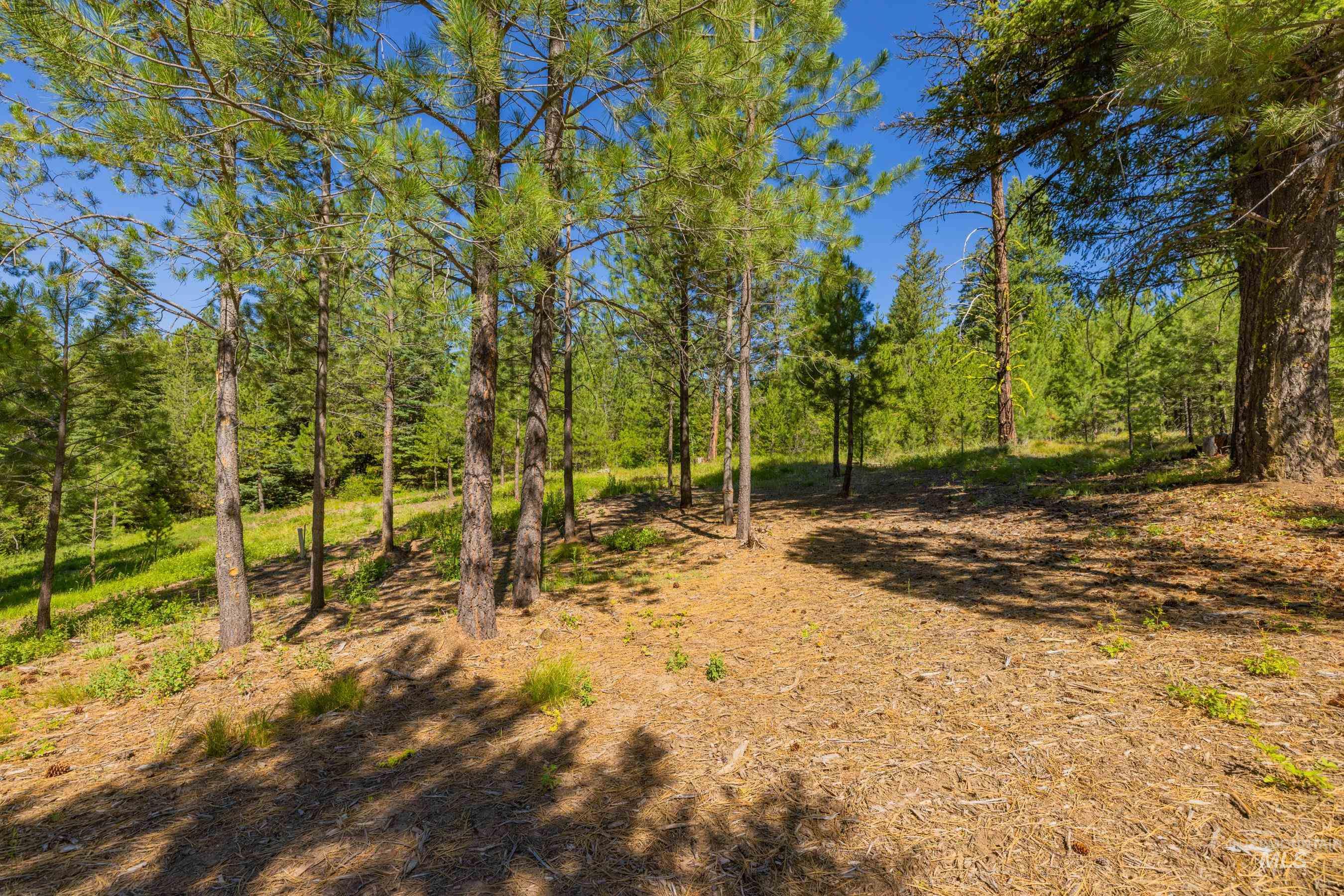 151 Timber Haven Place Cascade, ID 83611 - Photo 39 of 41