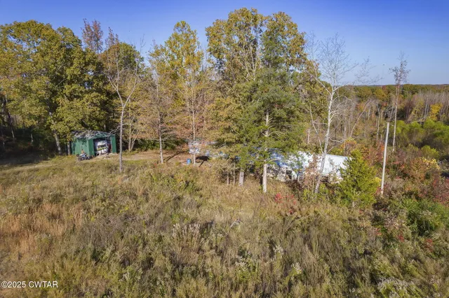 a view of yard with green space