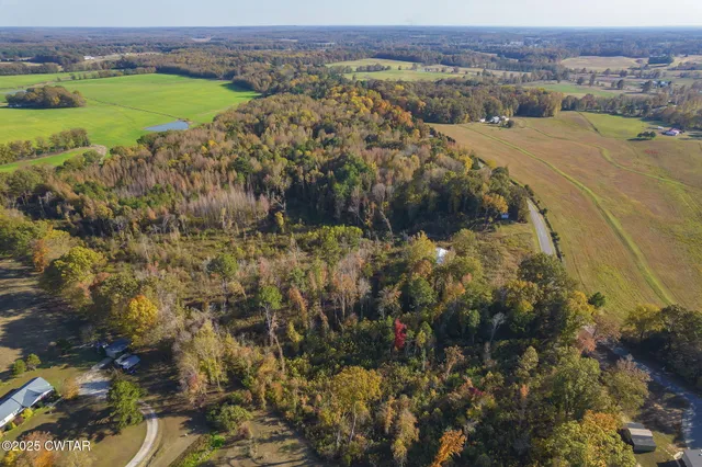 an aerial view of residential houses with outdoor space and trees
