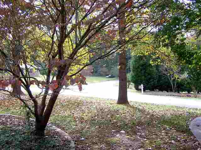 403 Timber Lane Anderson, SC 29621 - Photo 6 of 14 Gallery Image 6