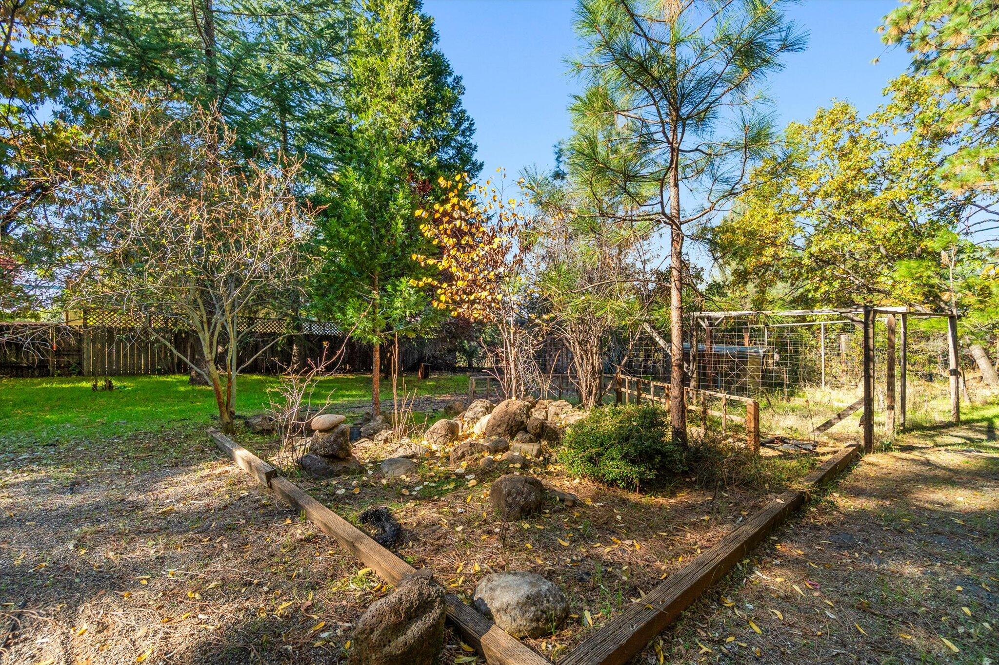 28449 Whippoorwill Circle Shingletown, CA 96088 - Photo 34 of 52 a view of a park with large trees