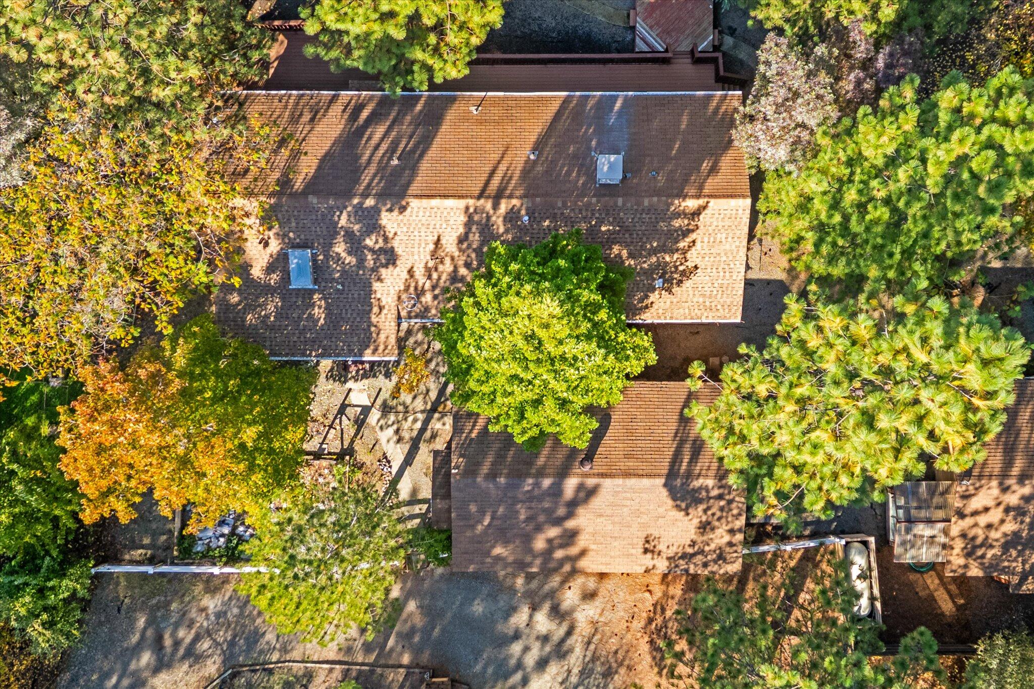 28449 Whippoorwill Circle Shingletown, CA 96088 - Photo 45 of 52 a view of outside area