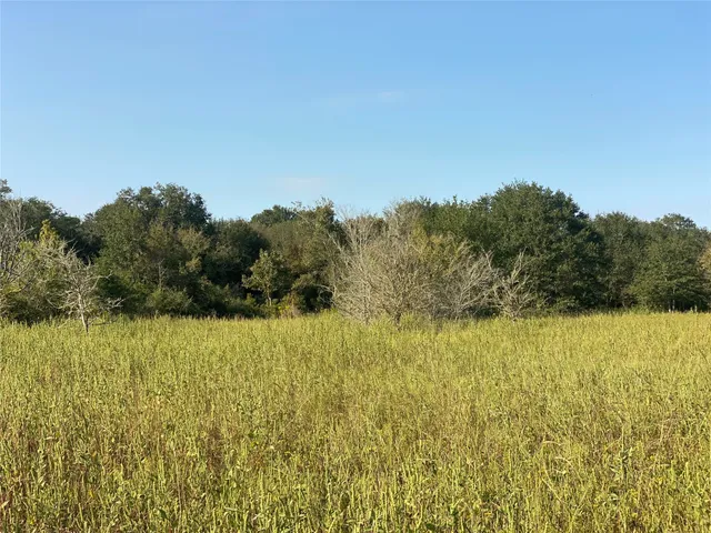 $140,000 | 229 County Road 229, Bedias, TX 77831