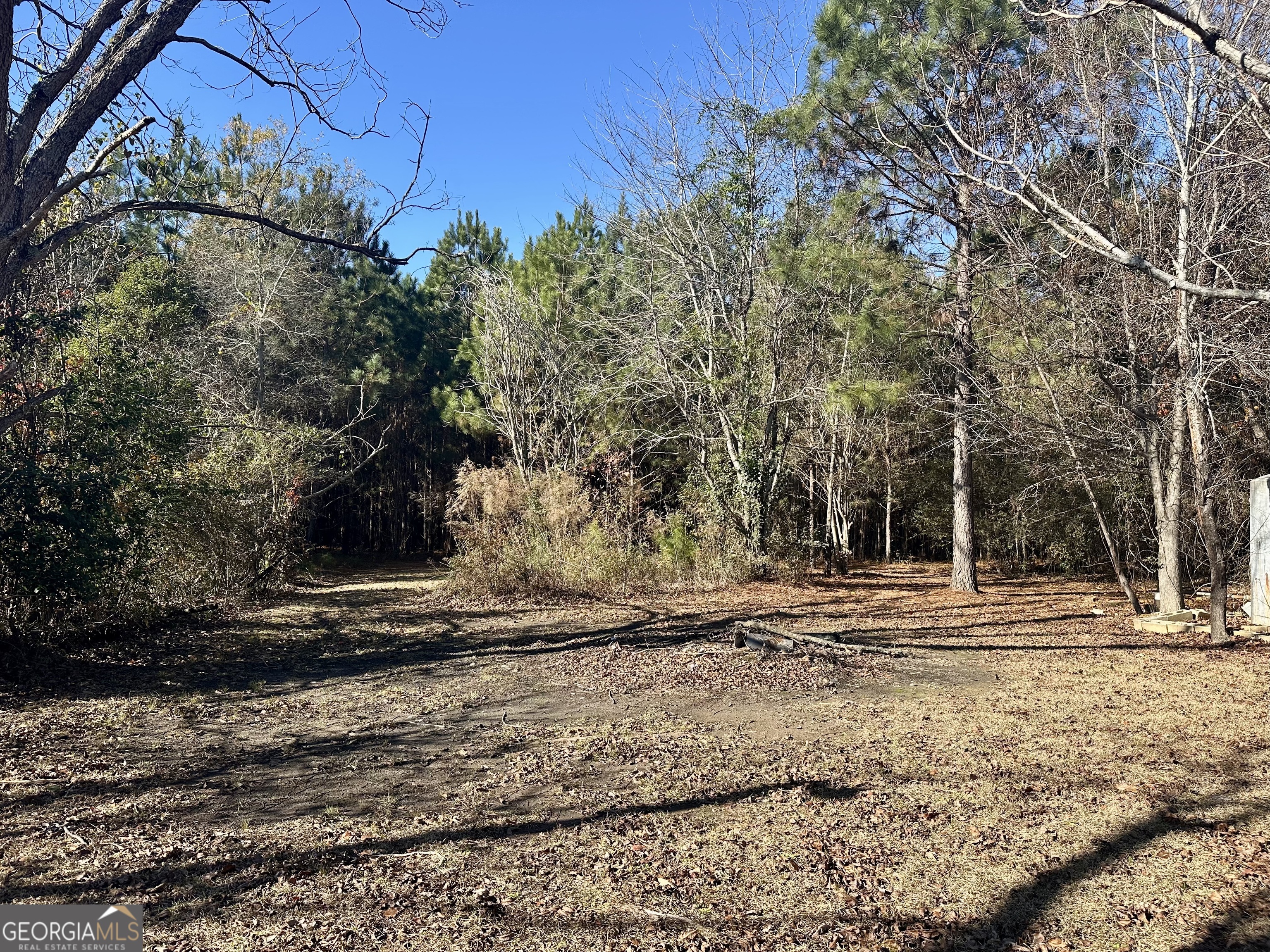 0 Sunset Drive Fort Valley, GA 31030 - Photo 2 of 3