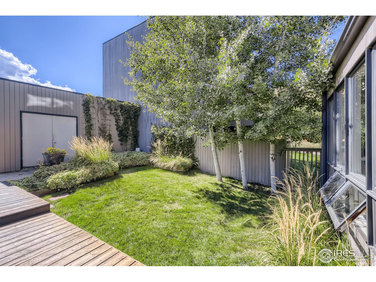 365 Quail Circle Boulder, CO 80304 - Photo 13 of 29 a view of a backyard with potted plants and large tree