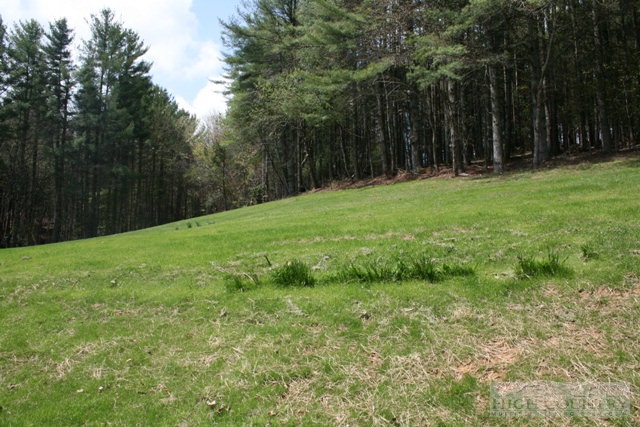 2974 Bare Creek Road Jefferson, NC 28640 - Photo 23 of 26 Gallery Image 23