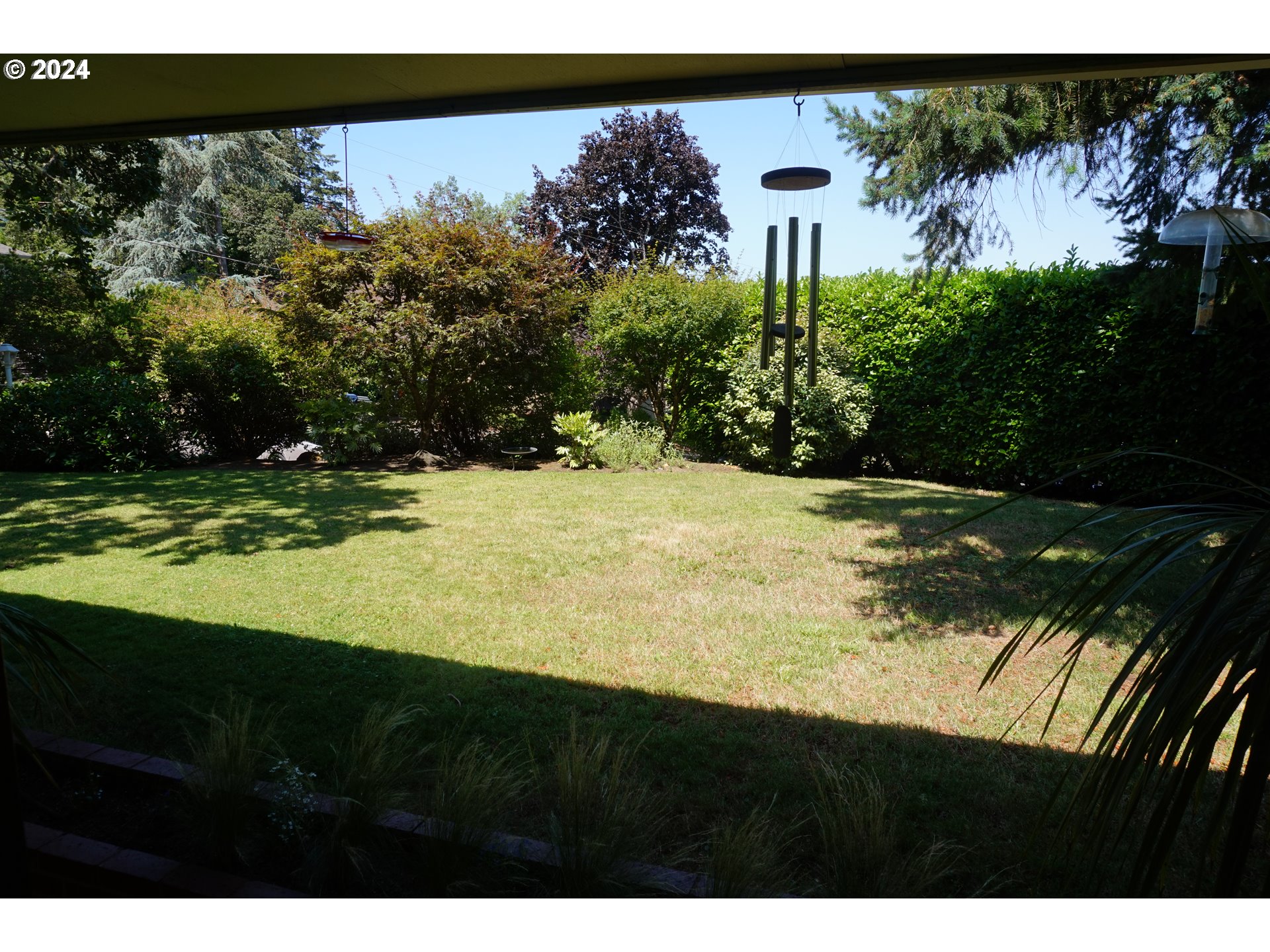 3055 Charnelton Street Eugene, OR 97405 - Photo 4 of 45 a view of a yard with a tree