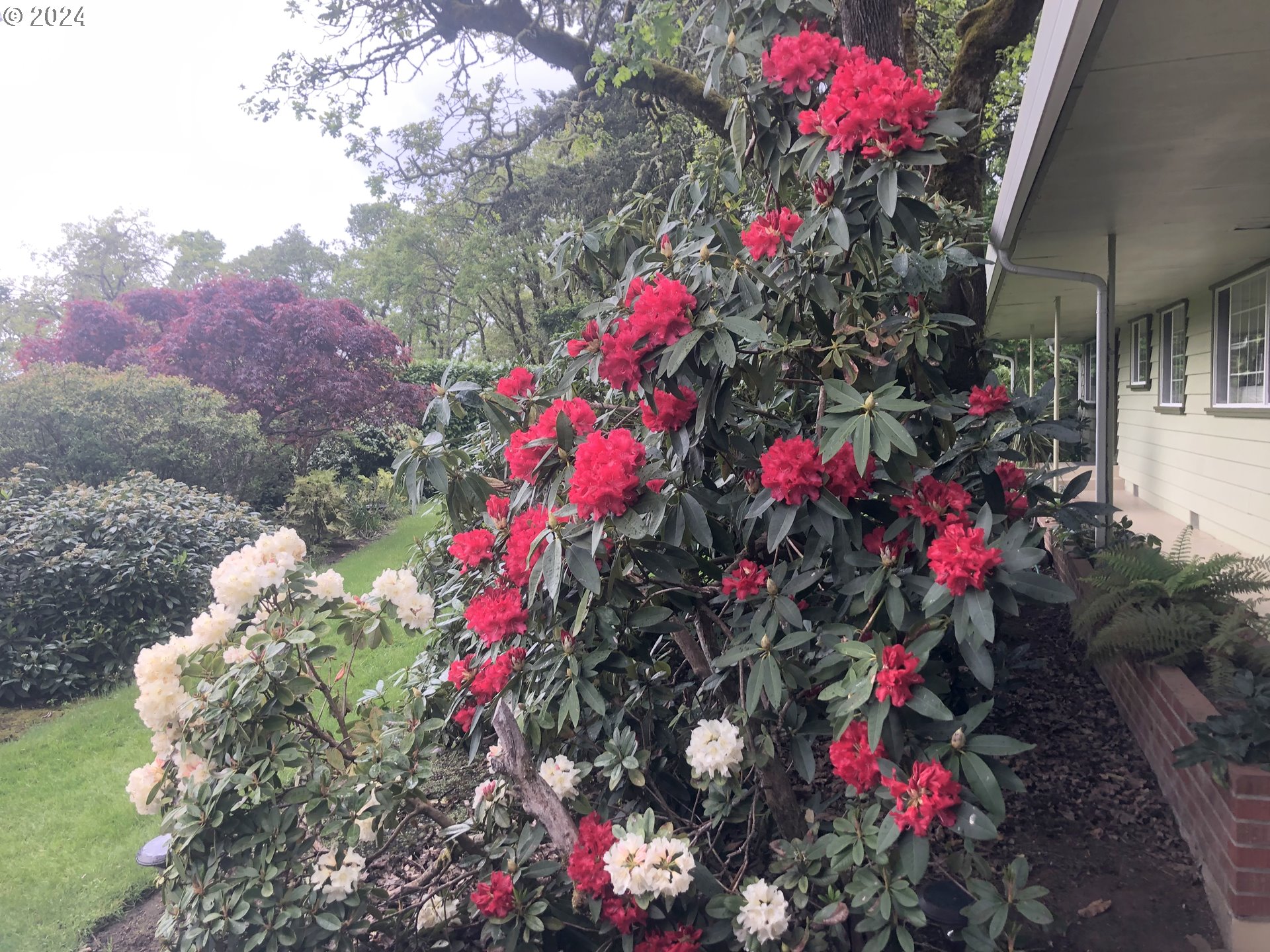 3055 Charnelton Street Eugene, OR 97405 - Photo 43 of 45 a flower garden view