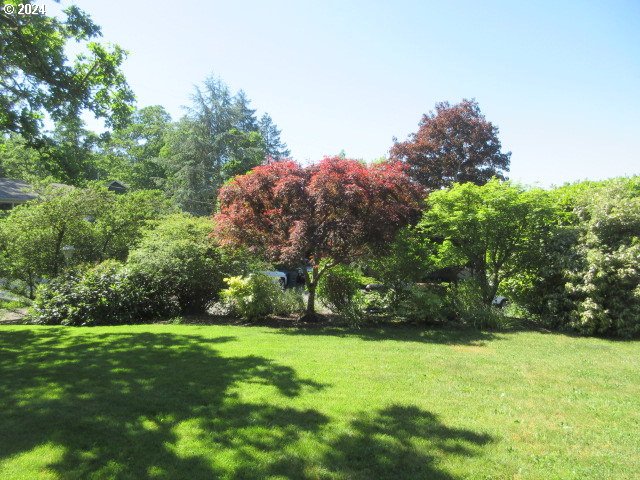 3055 Charnelton Street Eugene, OR 97405 - Photo 5 of 45 a view of a yard