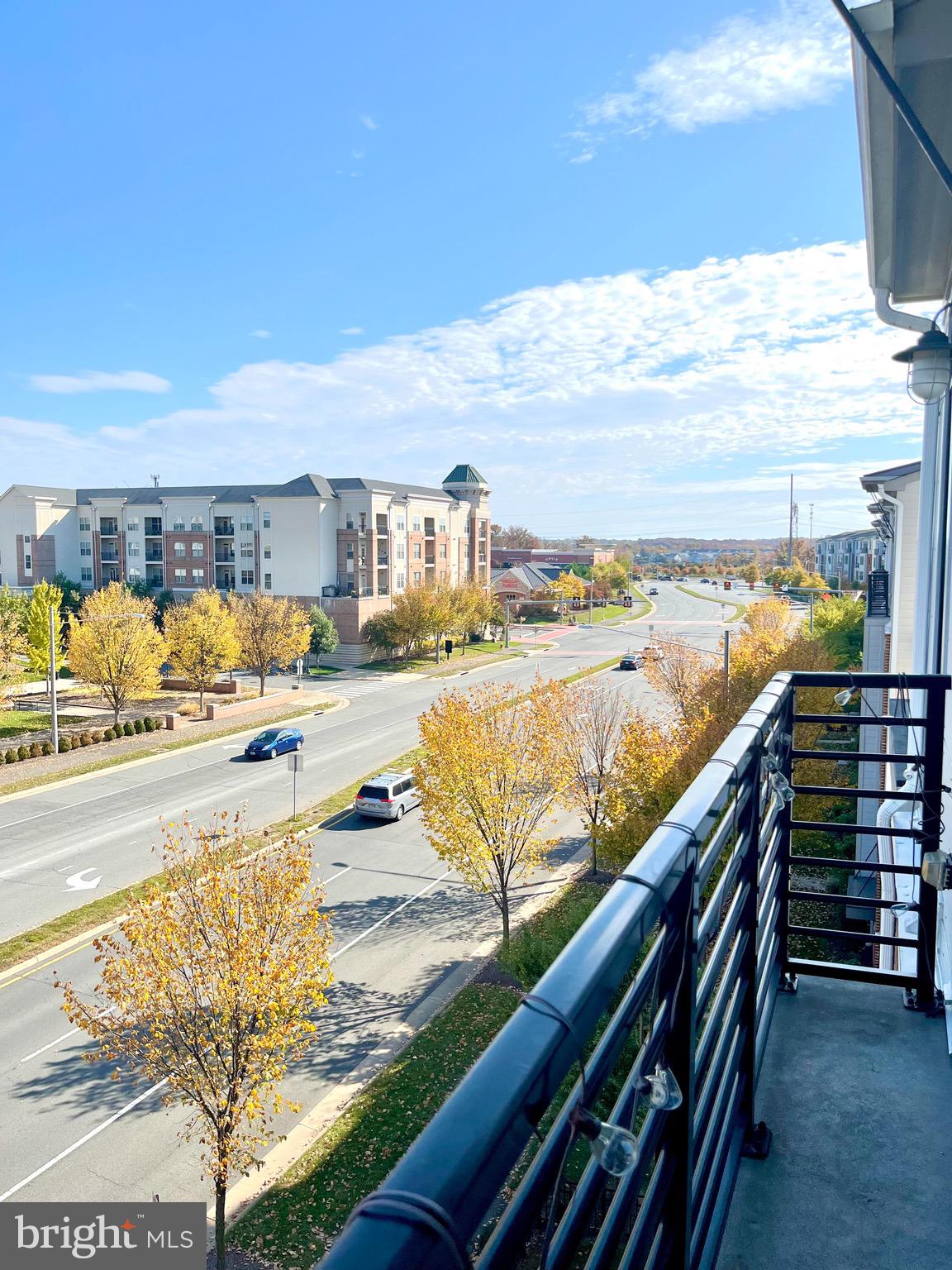 1118 Ribbon Limestone Terrace Southeast Leesburg, VA 20175 - Photo 34 of 54
