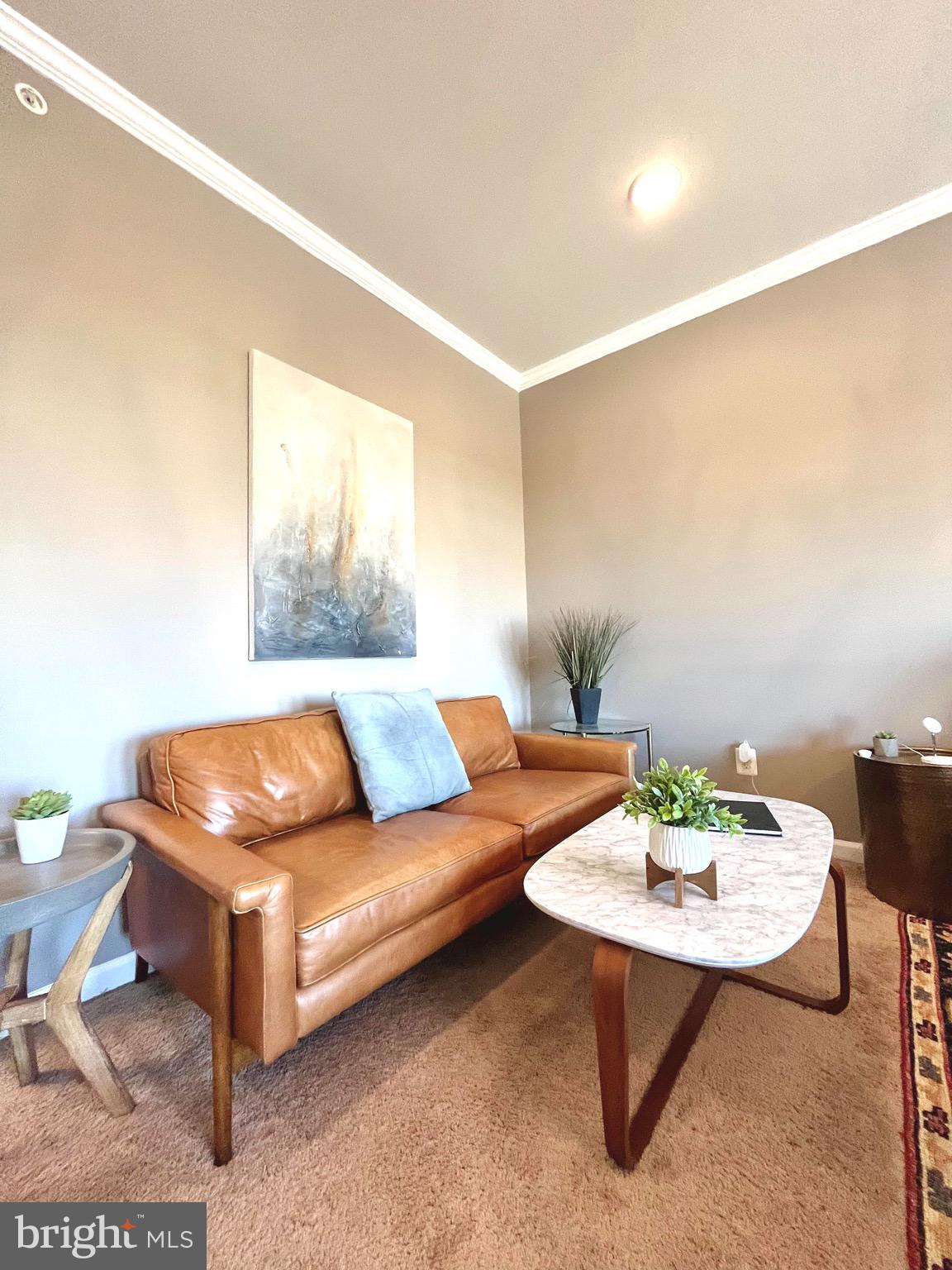 1118 Ribbon Limestone Terrace Southeast Leesburg, VA 20175 - Photo 35 of 54