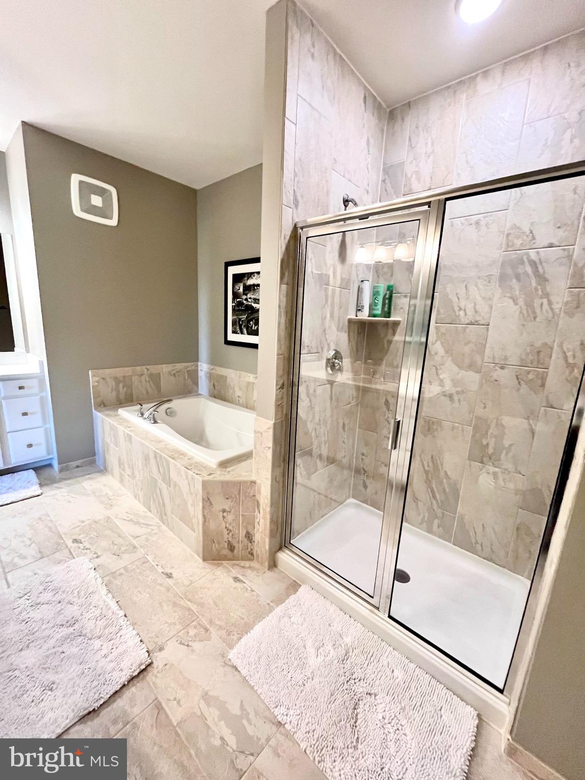 1118 Ribbon Limestone Terrace Southeast Leesburg, VA 20175 - Photo 38 of 54