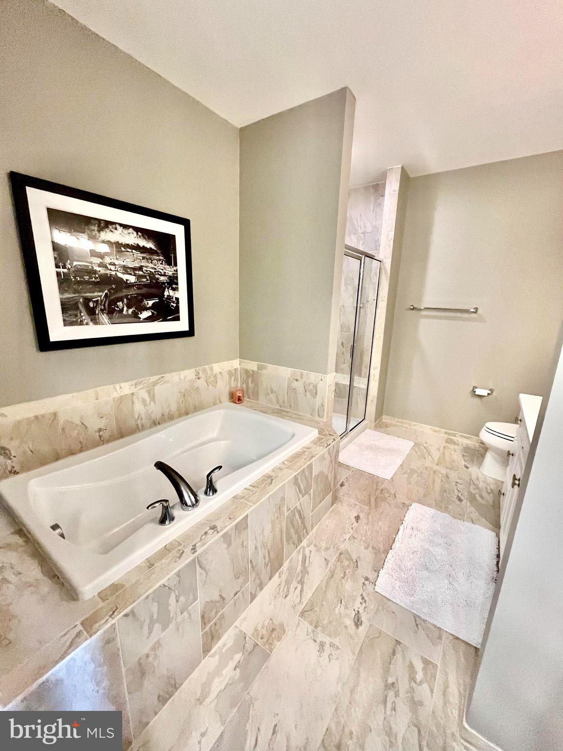 1118 Ribbon Limestone Terrace Southeast Leesburg, VA 20175 - Photo 40 of 54