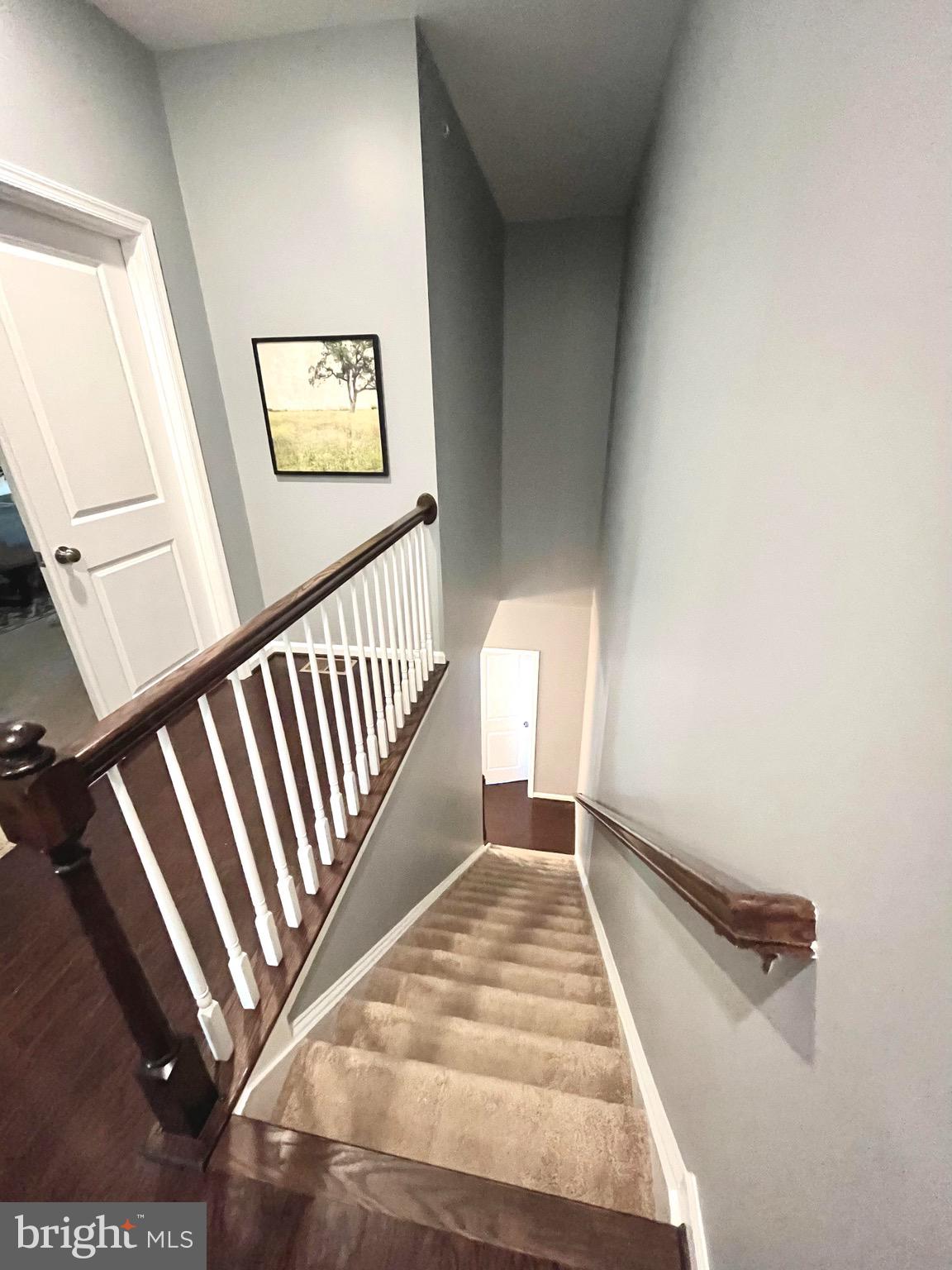 1118 Ribbon Limestone Terrace Southeast Leesburg, VA 20175 - Photo 52 of 54