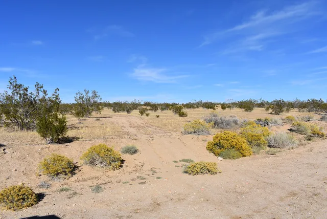 a view of beach with ocean view