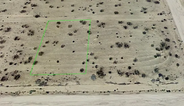 a view of a dry yard