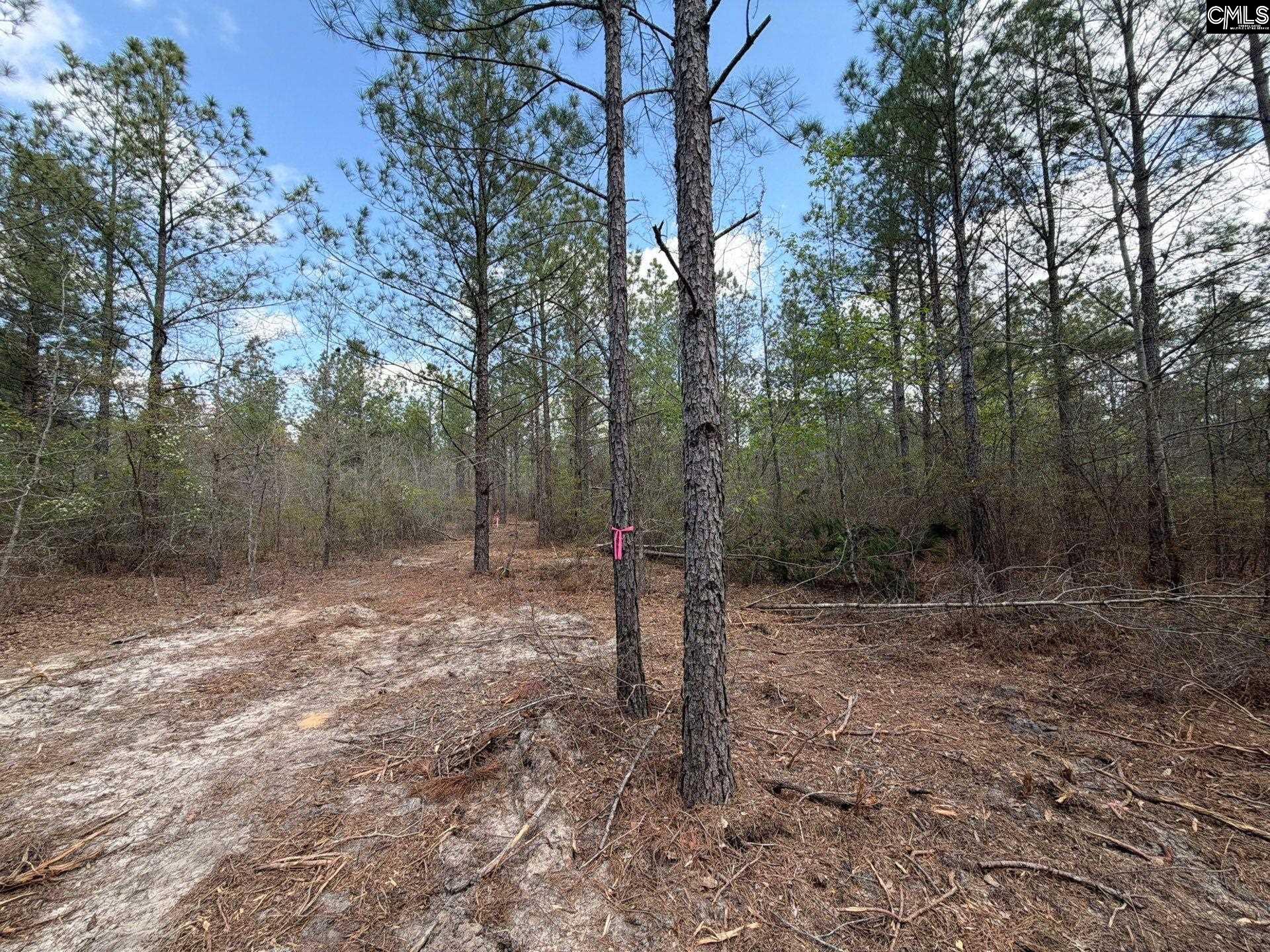 4 Mt Calvary Rd Ridge Spring Ridge Spring, SC 29129 - Photo 31 of 40