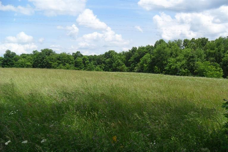 8871 Stulltown Road Owingsville, KY 40360 - Photo 1 of 10 Photo 1