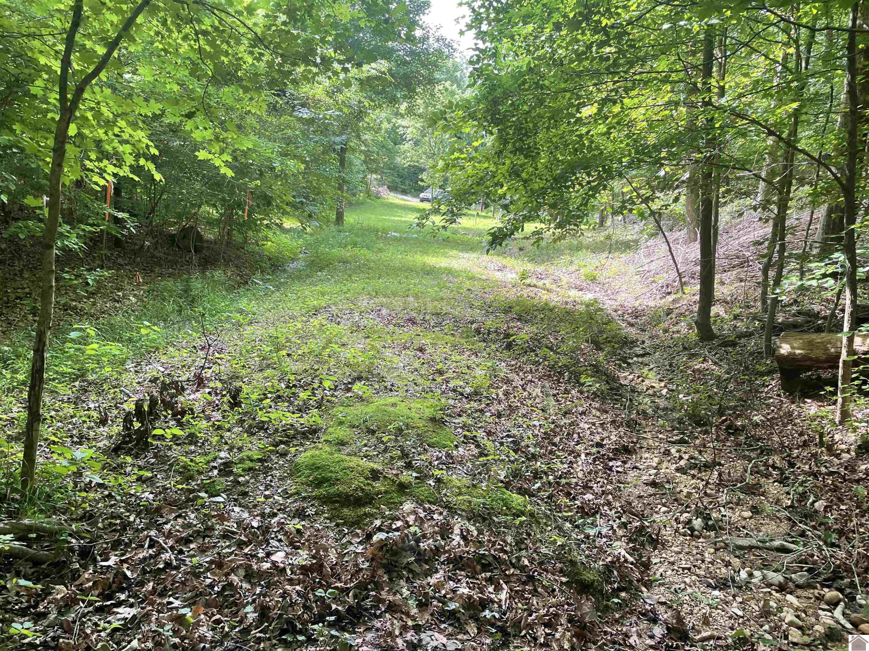 3642 Linton Road Cadiz, KY 42211 - Photo 12 of 18 Photo 12