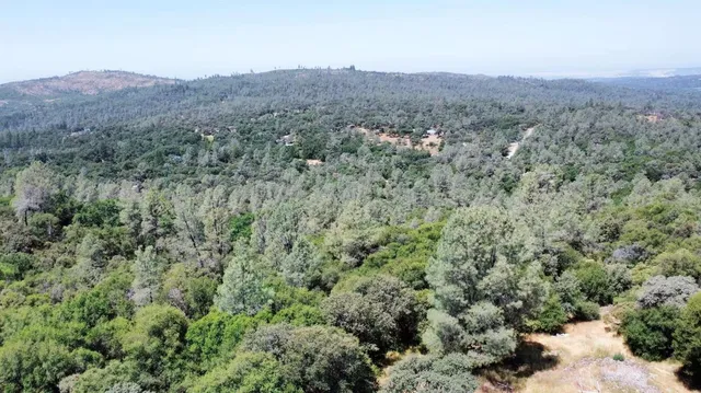 an aerial view of residential houses with outdoor space and trees