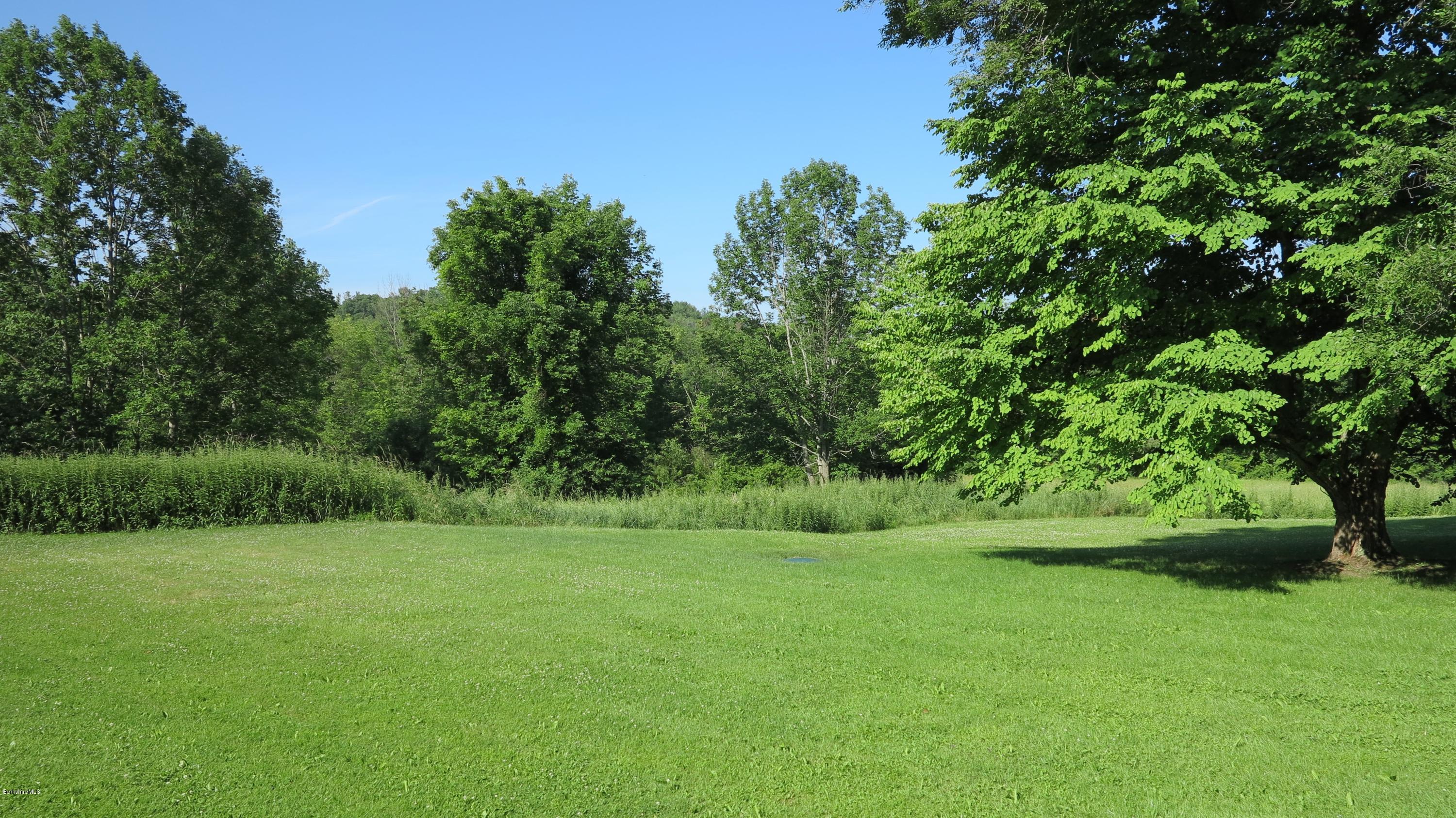160 Cheever Road Richmond, MA 01254 - Photo 23 of 27 a view of a garden with a tree