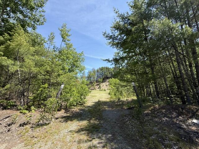 Lot 5-10 Charlotte Road Charlotte, ME 04666 - Photo 15 of 24 IMG_1691 (1)