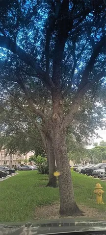 $295,000 | 10145 Sunrise Lakes Boulevard, Unit 405, Sunrise, FL 33322