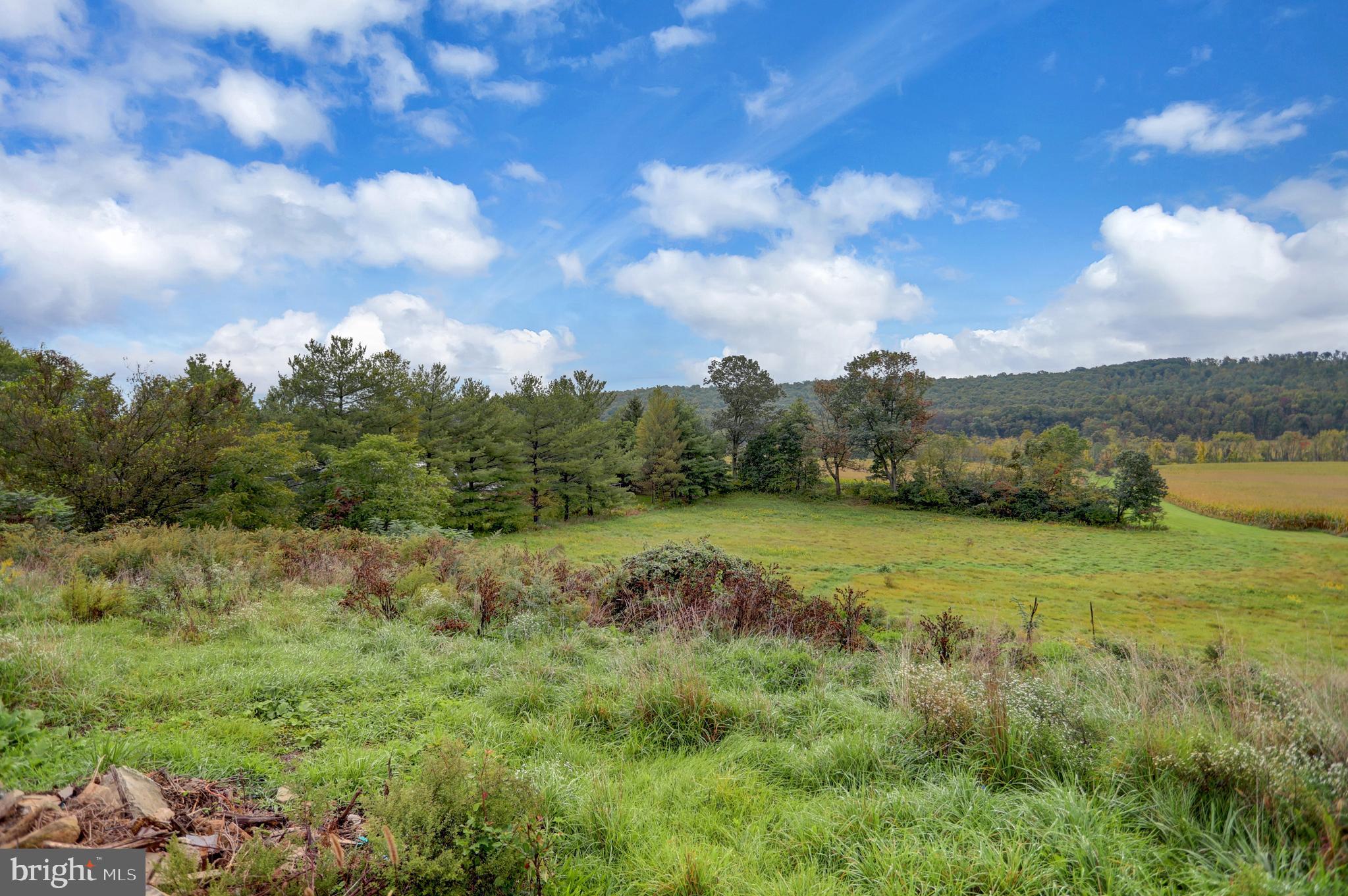712 Shermans Valley Road New Bloomfield, PA 17068 - Photo 47 of 54 Gallery Image 47