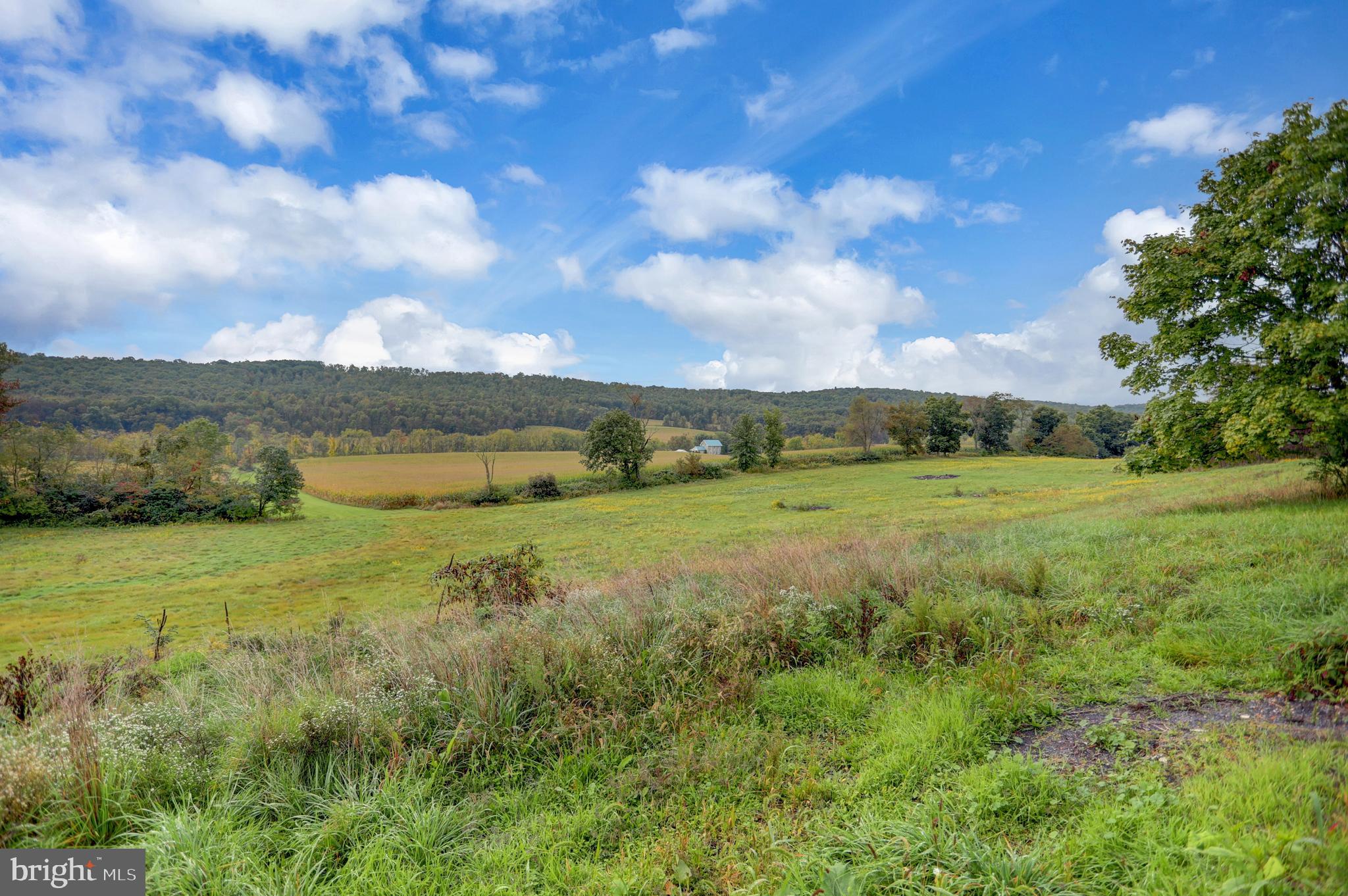 712 Shermans Valley Road New Bloomfield, PA 17068 - Photo 48 of 54 Gallery Image 48