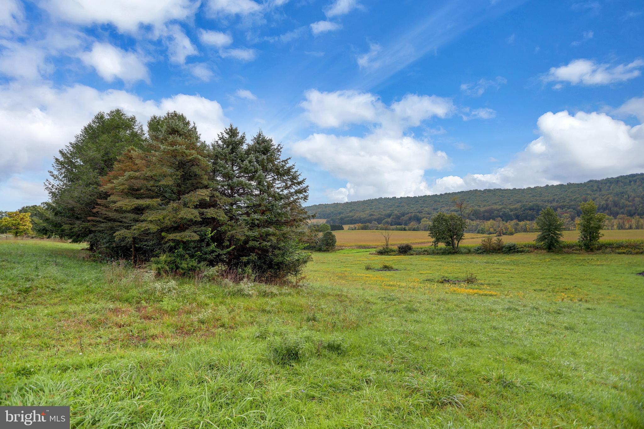 712 Shermans Valley Road New Bloomfield, PA 17068 - Photo 52 of 54 Gallery Image 52