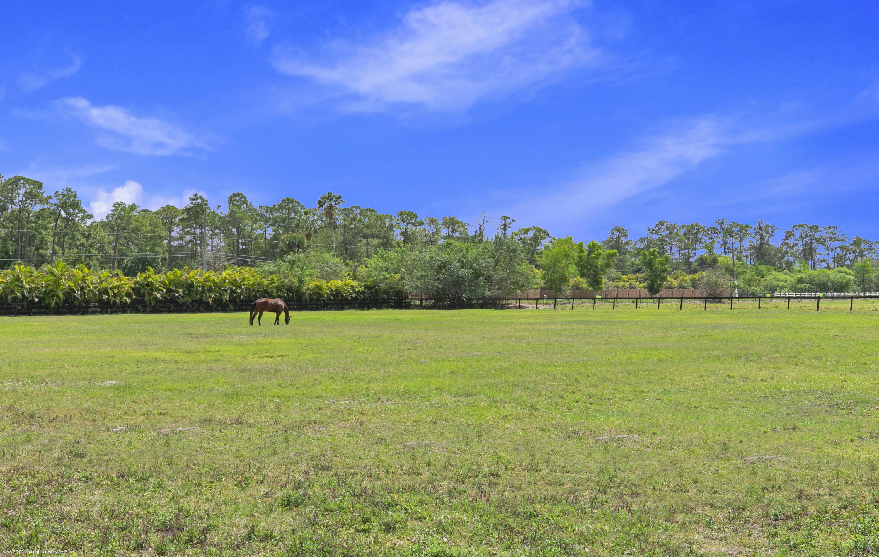 1815 E Road Loxahatchee, FL 33470 - Photo 20 of 40 072