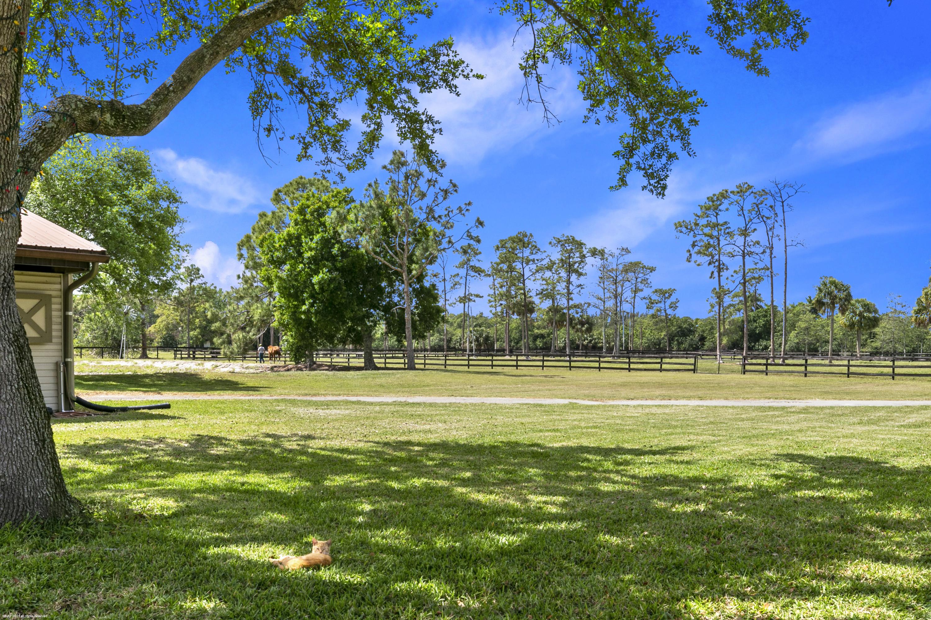 1815 E Road Loxahatchee, FL 33470 - Photo 34 of 40 067