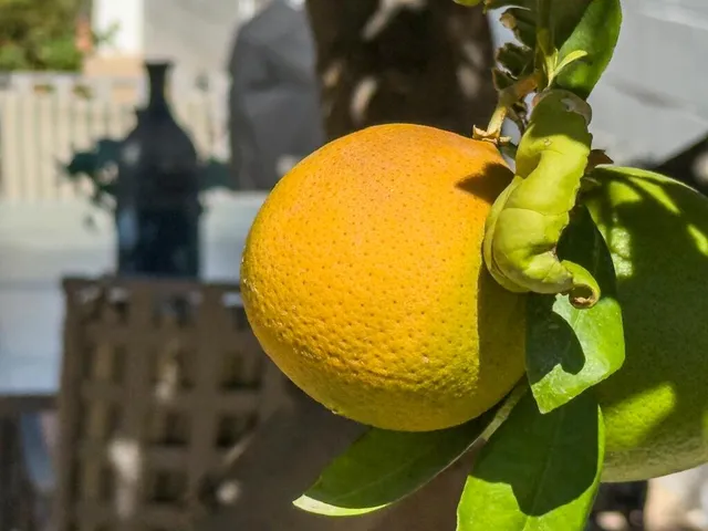 $1,625,000 | 75377 Montecito Drive, Indian Wells, CA 92210